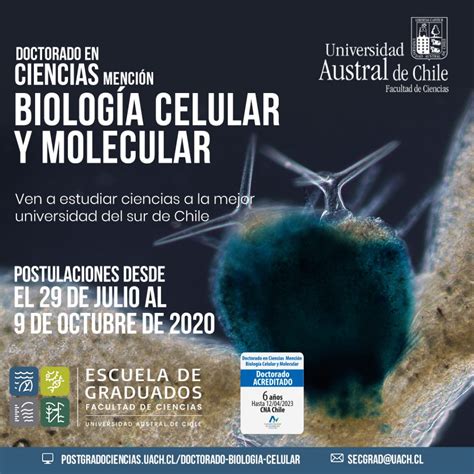 Postulaci N A Doctorado En Ciencias Menci N Biolog A Celular Y