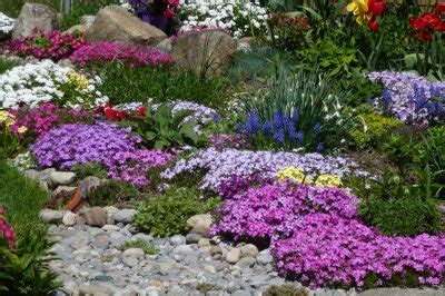 Lavendel Im Kiesbeet Ideen Tipps Zur Gestaltung