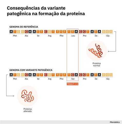 O Que Significa Variante - Variante genética: benigna ou patogênica? - Blog Mendelics