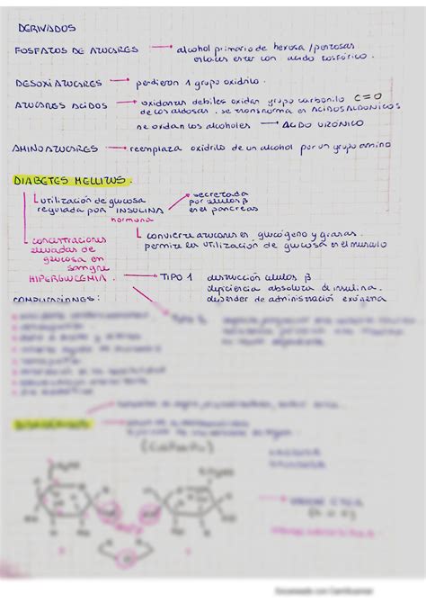 Solution Unidad Introducci N A La Biolog A Celular Studypool