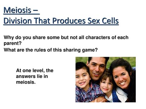 Meiosis Mrs Harper Biology 11 28 Ppt Download