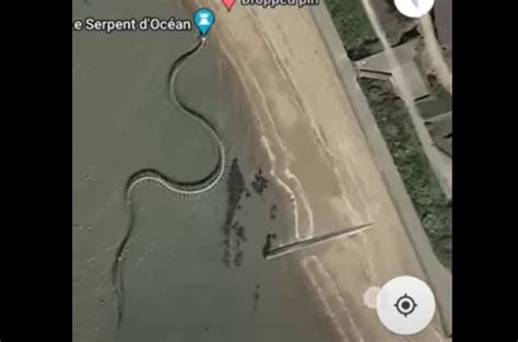 Giant Snake Skeleton Found On Google Maps Watch Viral Video