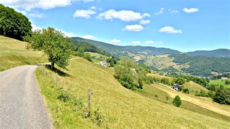 Circuit Rando Sur Les Hauteurs De Lapoutroie Visit Alsace