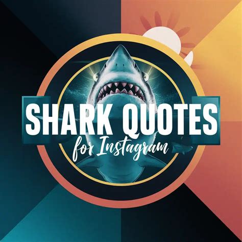 251 Shark Captions And Quotes Captions Unleashed