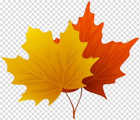 Decorative Leaf Clip Art