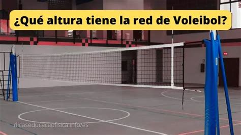 Qué altura tiene la red de Voleibol DEF Redes de voleibol