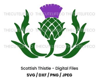 Scottish Thistle Digital Svg Printable Cut File Scottish National