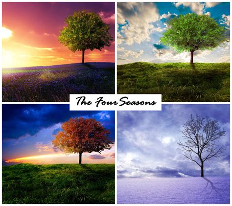 The Four Seasons by Emerald-Depths on DeviantArt