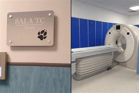 All Ospedale Veterinario Dell Asl Di Napoli Arriva La Tac Per Cani E Gatti