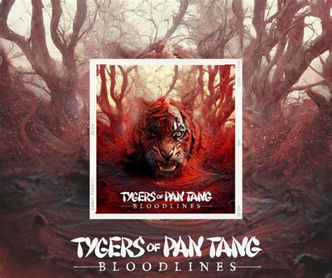 Chronique Tygers Of Pan Tang Bloodlines 2023 par Dark Métal