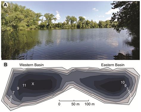 Eutrophication Lake Before After