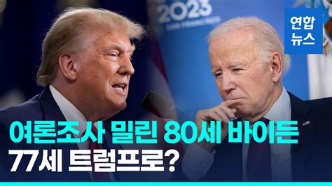 영상 여론조사서 밀리는 80세 바이든어게인 트럼프 나무뉴스