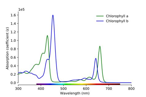 Espectro De Absorção Absorção Atômica Visível E Em Moléculas