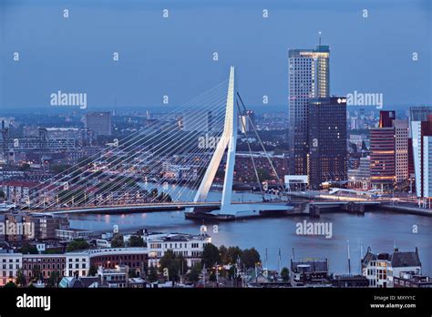 Le Pont Erasmus Sur La Meuse à Rotterdam Vu De Leuromast Tour D