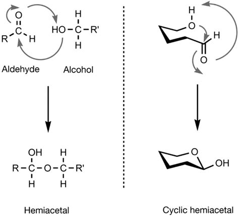 Figure Cyclization Of Acyclic D Glucose To Essentials Of