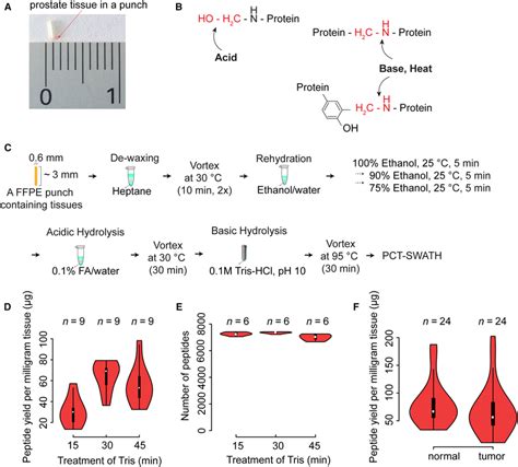 Formalin‐fixed Paraffin‐embedded Pct‐swath Protocol And Performance Download Scientific