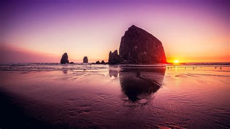 Oregon Coast Tide Pools Guide The Best Spots To See Creatures