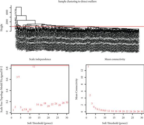 Construction Of Coexpression Network And Hub Gene Screening A