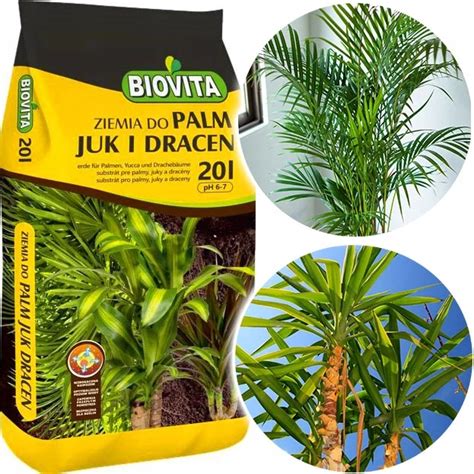 Ziemia Pod O E Do Palm Juk I Dracen L Biovita Cena