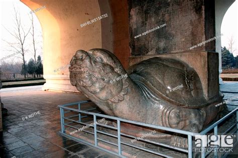 Stone Turtle Shisanling Ming Tombs China Stock Photo Picture And