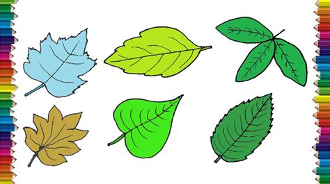 How To Draw A Leaf Step By Step Leaf Drawing Easy For Beginners With This How To Video And Step