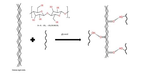 Gels Free Full Text Synthesis And Characterization Of A Novel Composite Edible Film Based On