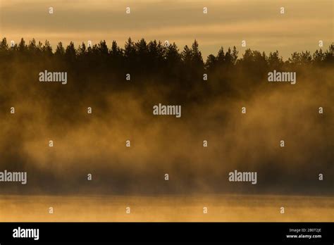 Taiga lake in Finland, Finland Stock Photo - Alamy