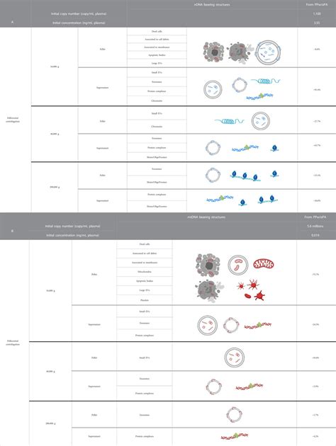 Frontiers Comparison Of The Structures And Topologies Of Plasma