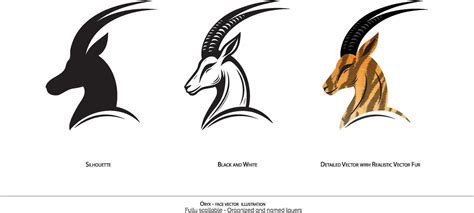 Oryx Face Only Illustration Animal Drawing Oryx Detailed Illustration