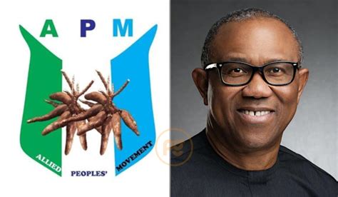 Appeal Court Affirms Peter Obi As Labour Party Presidential Candidate