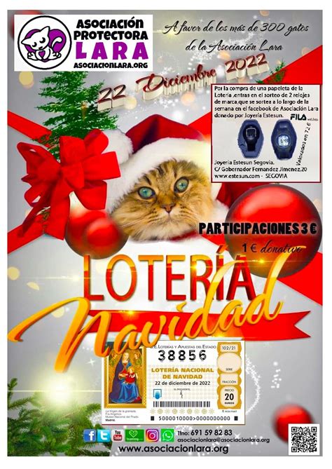 Lotería de Navidad 2022 - Gatitud Asociación Protectora de los Gatos