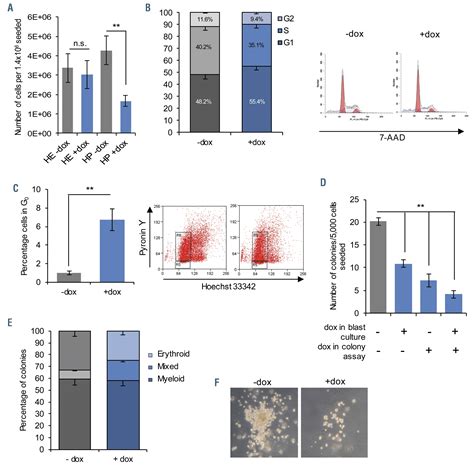 Runx1 Evi1 Disrupts Lineage Determination And The Cell Cycle By