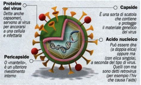 Virus Scienze Integrate