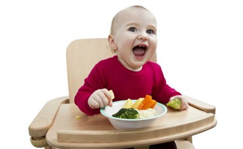 Mengenal BLW Metode Pemberian Makan Pada Bayi Yang Kini Tengah Populer