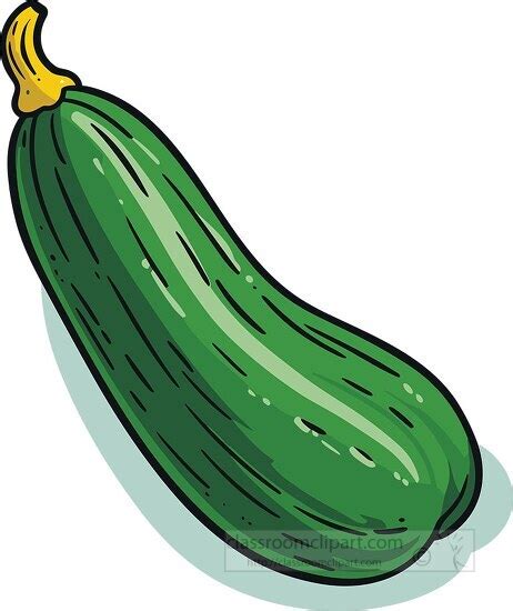 Squash Vegetable Clip Art