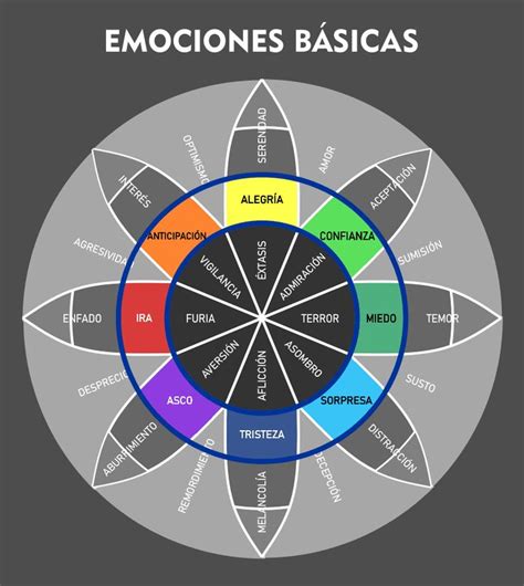 La Rueda de las Emociones Qué es y cómo funciona Paperblog