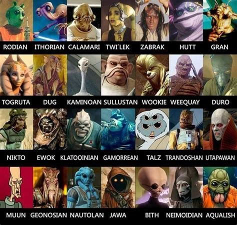heres  bunch  star wars races rgeeknest