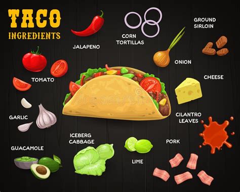 Taco With Ingredients Mexican Fast Food Stock Vector Illustration Of