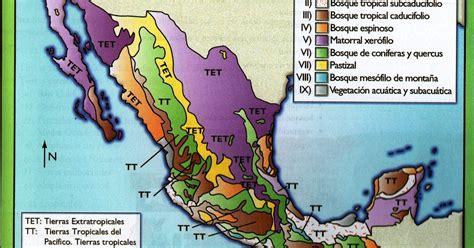 El Mapa De Los Ecosistemas De Mexico Con Nombres Diario Mapa De Mexico ...