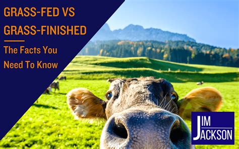 Grass Fed Vs Grass Finished The Facts You Need To Know