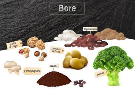 Bore R Les Dans Lorganisme Besoins Et Sources Alimentaires Doctissimo