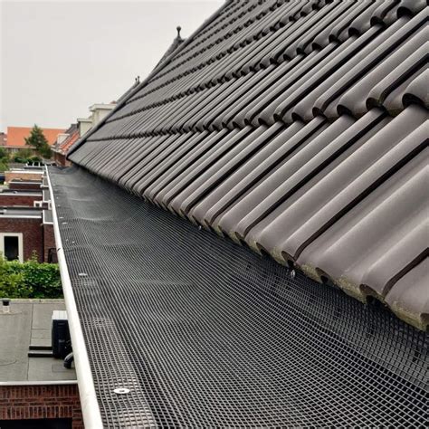 Vogelwering Zonnepanelen Plaatsen Housecare Service