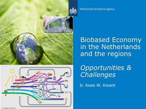 Pdf Biobased Economy In The Netherlands And The Regions Minimal