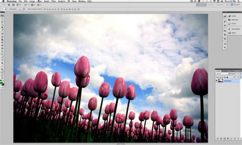 tutorial time  tips    photo   zoollcom