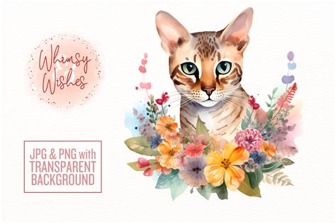 Ocicat Floral Watercolor Clip Art Graphic By Whimsyandwishes Creative