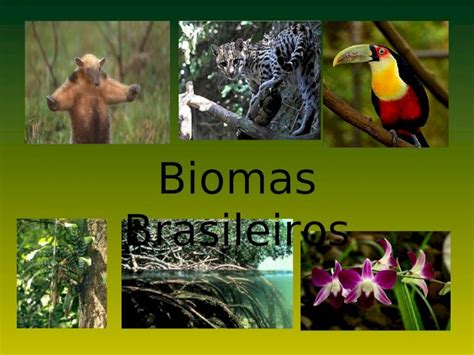 Ppt Biomas Brasileiros Dokumen Tips