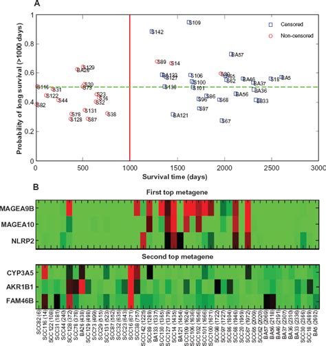 A Leave One Out Cross Validation Results Demonstrating The Ability Of