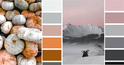 Светло-серый цвет и сочетание с ним | LOOKCOLOR