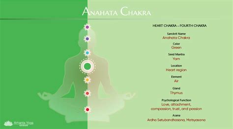 All About The Heart Chakra Anahata Chakra Arhanta Yoga