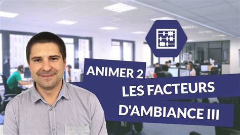 Animer 2 Les Facteurs D Ambiance III Bac Pro Commerce DigiSchool